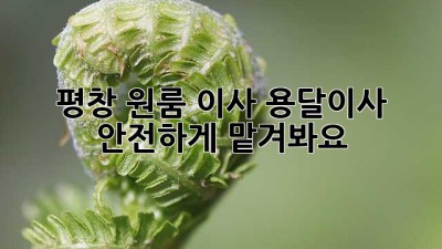 평창 원룸 이사? 용달이사 안전하게 맡겨봐요!
