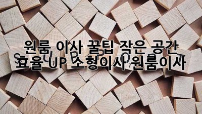 원룸 이사 꿀팁🍯 작은 공간 효율 UP! #소형이사 #원룸이사